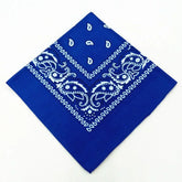 paisley pattern