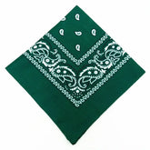 paisley pattern