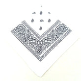 paisley pattern