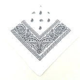paisley pattern