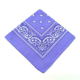 paisley pattern